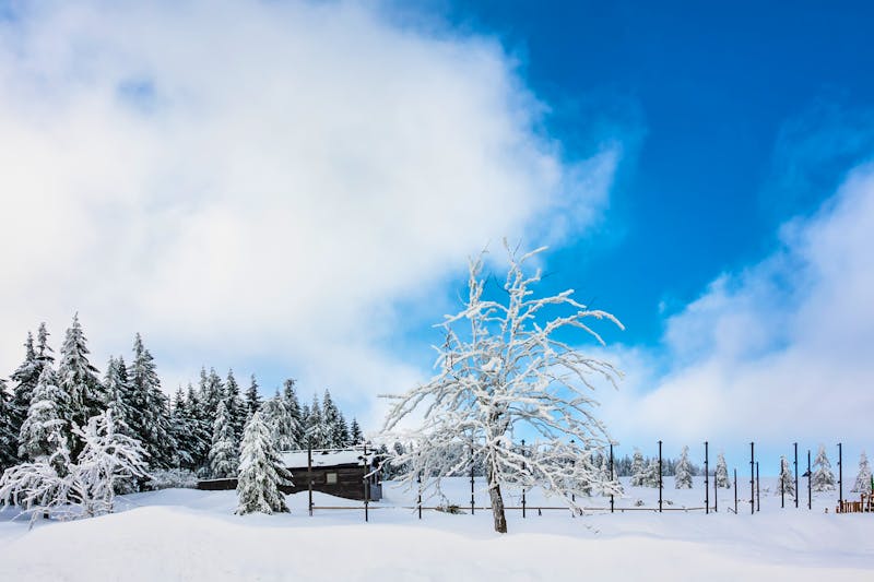 Winterlandschaft im Riesengebirge bei Spindlermühle  - ©Rico Ködder - stock.adobe.com