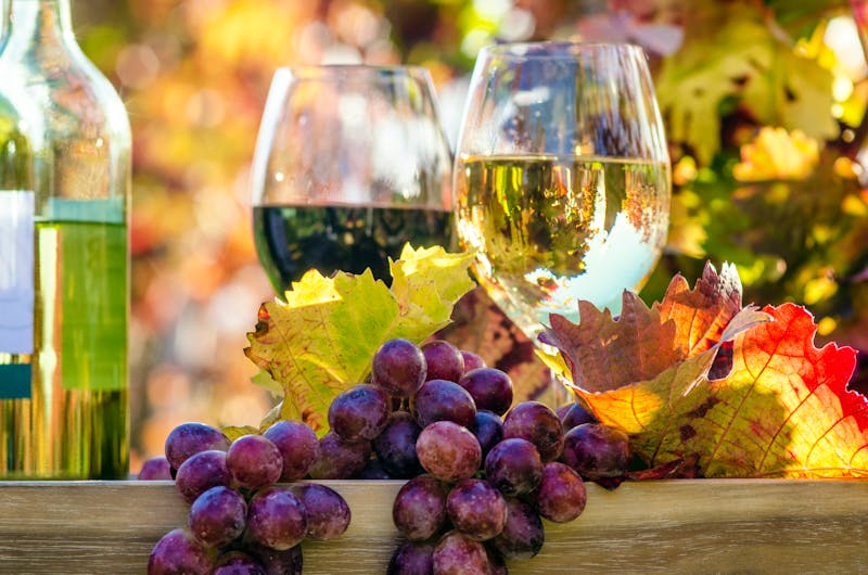 Weinprobe  - ©doris oberfrank-list - stock.adobe.com