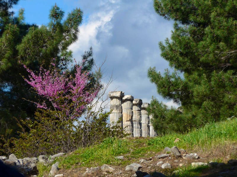 Ausgrabungen in Priene - Türkei - ©Ria Heilmann (Eberhardt TRAVEL)