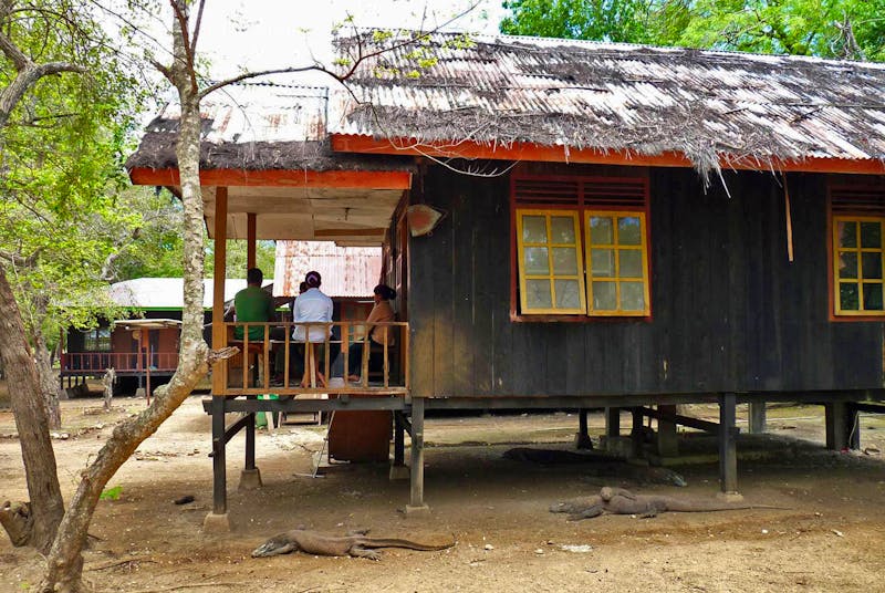 Warane unterm Stelzenhaus auf der Insel Rinca - Komodo-Nationalpark - ©Frank Nimschowski - Eberhardt TRAVEL
