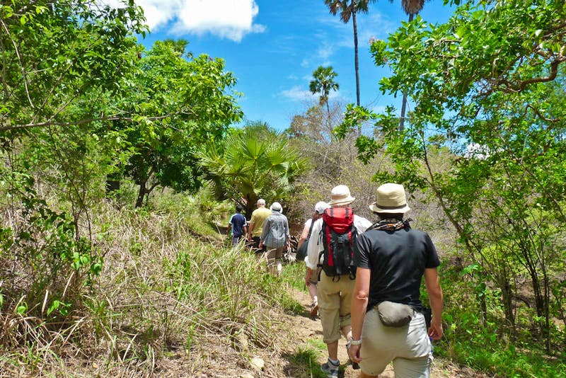 Wanderung mit Naturführer im Komodo-Nationalpark - Insel Rinca - ©Frank Nimschowski - Eberhardt TRAVEL