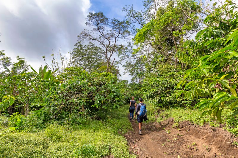 Wanderung im Kelimutu-Nationalpark auf der Insel Flores - ©Danaan - stock.adobe.com