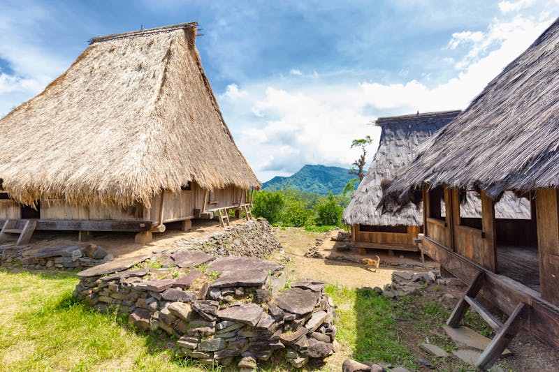 Traditionelle Häuser im Dorf Wologai am Kelimutu auf der Insel Flores - ©Danaan - stock.adobe.com