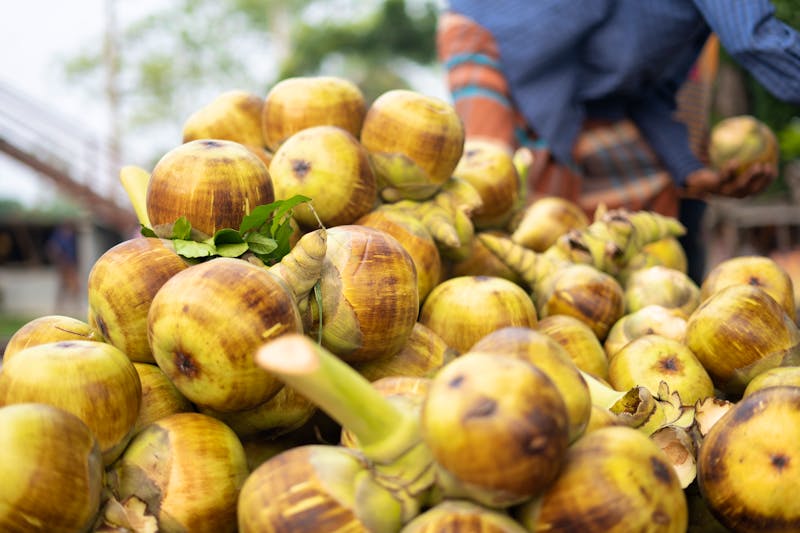 Kokosnüsse auf Flores - Indonesien - ©batin - stock.adobe.com
