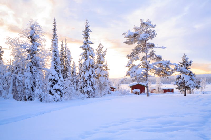 Schwedische Winterlandschaft - ©vichie81 - stock.adobe.com