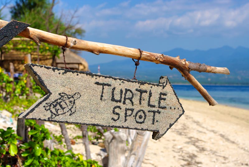 Schildkröten-Platz auf den Gili-Inseln - ©syrah93 - stock.adobe.com