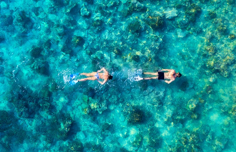 Schnorcheln vor den Gili-Inseln nahe Lombok - ©biletskiyevgeniy.com - stock.adobe.com