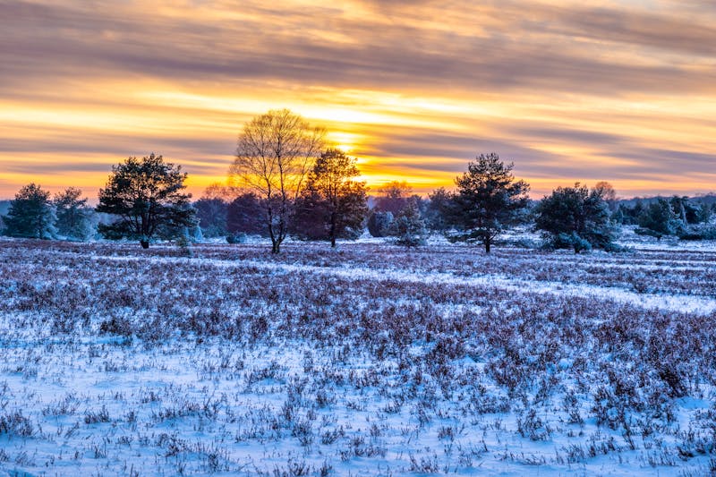 Naturpark Lüneburger Heide in Niedersachsen - ©foto-select - stock.adobe.com