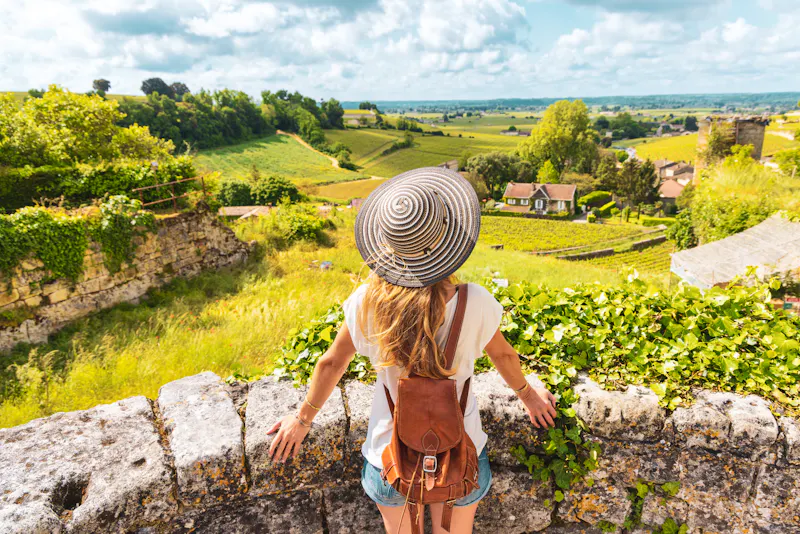 Blick auf einen Weinberg bei Saint Emilion in der Region Bordeaux - &copy;M.studio - stock.adobe.com