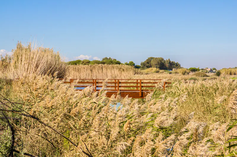 Naturpark der Molentargius-Salinen auf Sardinien - &copy;endemico - stock.adobe.com