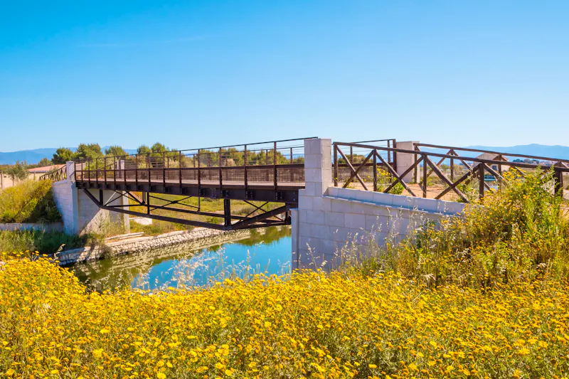 Ausflug zu den Molentargius-Salinen auf Sardinien - &copy;johnkruger1 - stock.adobe.com