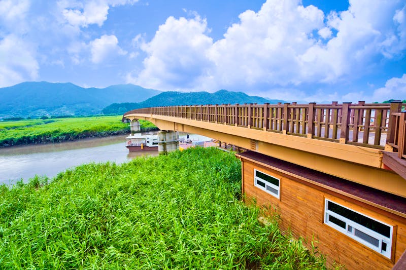 Suncheon Bay Ecological Park in Südkorea - ©Tanya - stock.adobe.com