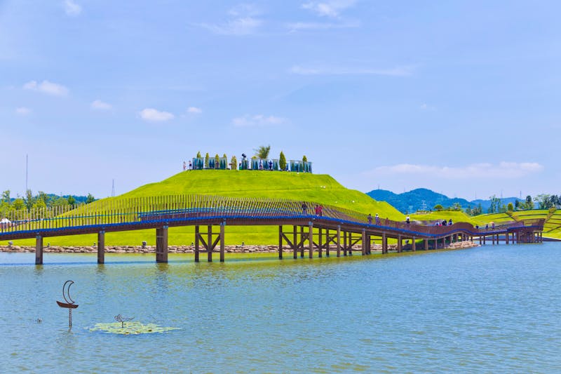 Suncheon Bay Ecological Park in Südkorea - ©Tanya - stock.adobe.com
