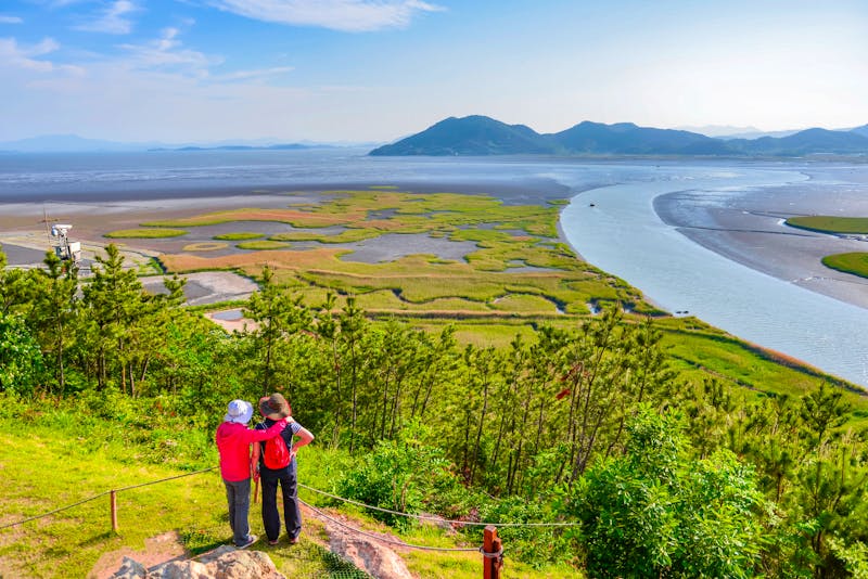 Suncheon Bay Ecological Park in Südkorea - ©chanchai - stock.adobe.com
