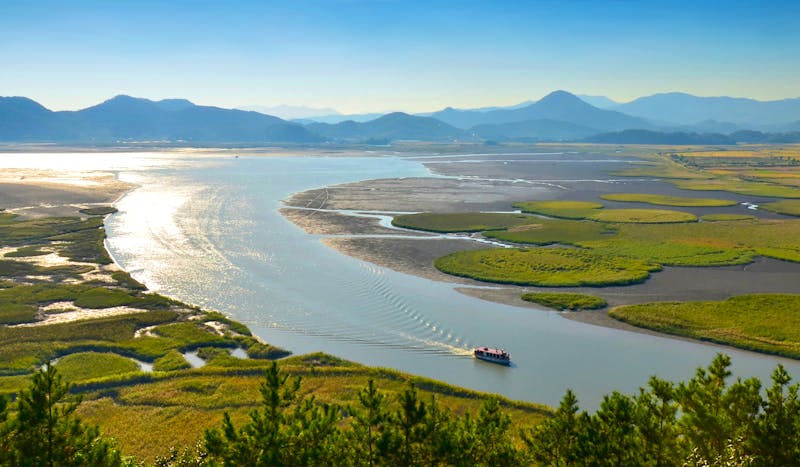 Suncheon Bay Ecological Park in Südkorea - ©Noa - stock.adobe.com