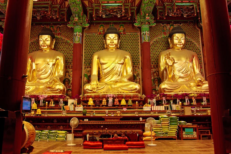 Goldene Buddha-Statuen im Jogyesa Tempel in Seoul - ©fdsmsoft - stock.adobe.com
