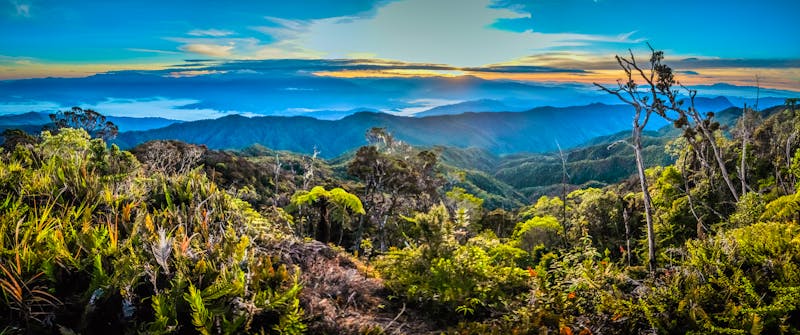 Hochland von Papua-Neuguinea  - ©michalknitl - stock.adobe.com