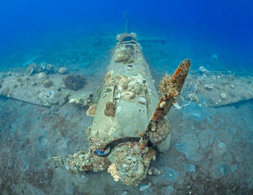 Japanisches Jagdflugzeug aus dem 2. Weltkrieg vor der Küste von der Insel Neubritannien in Papua-Neuguinea – © Mike Workman - stock.adobe.com