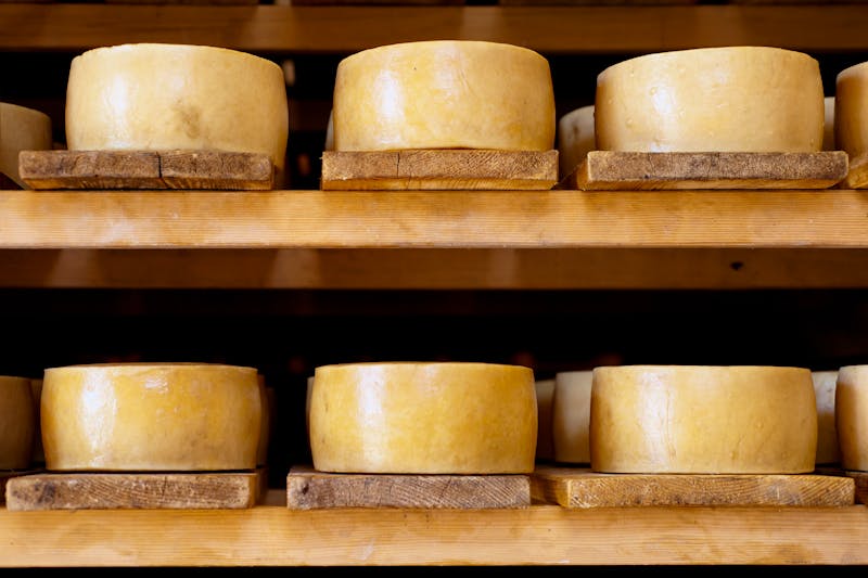 Schafskäse auf der Insel Pag - ©Natalia Bratslavsky - stock.adobe.com