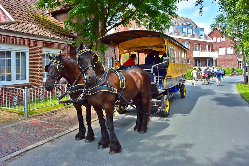 Kutschfahrt auf der Insel Langeoog - ©Martin Büchner - Eberhardt TRAVEL