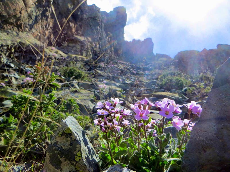 Flora & Fauna auf dem Madari-Wanderpfad - Zypern - ©Anna Stiebing (Eberhardt TRAVEL)
