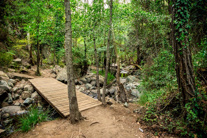 Wanderpfad zu den Kaledonia-Wasserfällen - Zypern - ©anastasstyles - stock.adobe.com