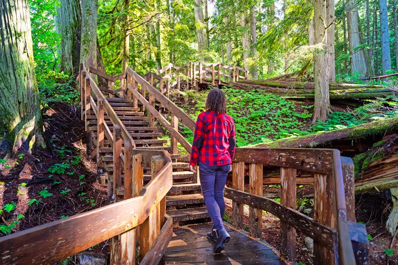 Regenwald im Mount Revelstoke Nationalpark in British Columbia - ©edb3_16 - stock.adobe.com