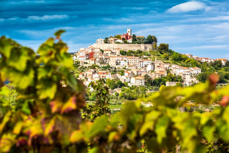 Blick durch die Weinberge nach Motovun in Istrien - ©mmphoto - stock.adobe.com