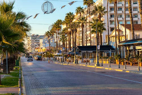 Finikoudes Promenade in Larnaka - Zypern &ndash; &copy; Curioso.Photography - stock.adobe.com