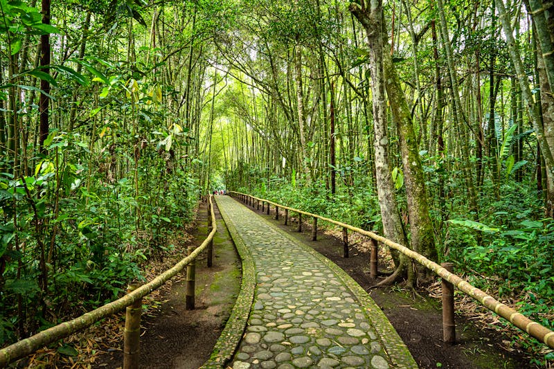 Archäologischer Park in San Agustin - Kolumbien - ©Wil.Amaya - stock.adobe.com