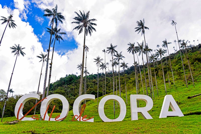 Ausflug ins Cocora-Tal im Kolumbien - ©Milosz Maslanka - stock.adobe.co