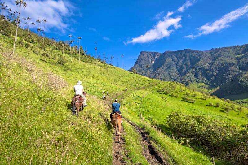 Ausritt im Cocora-Tal - ©sunsinger - stock.adobe.com