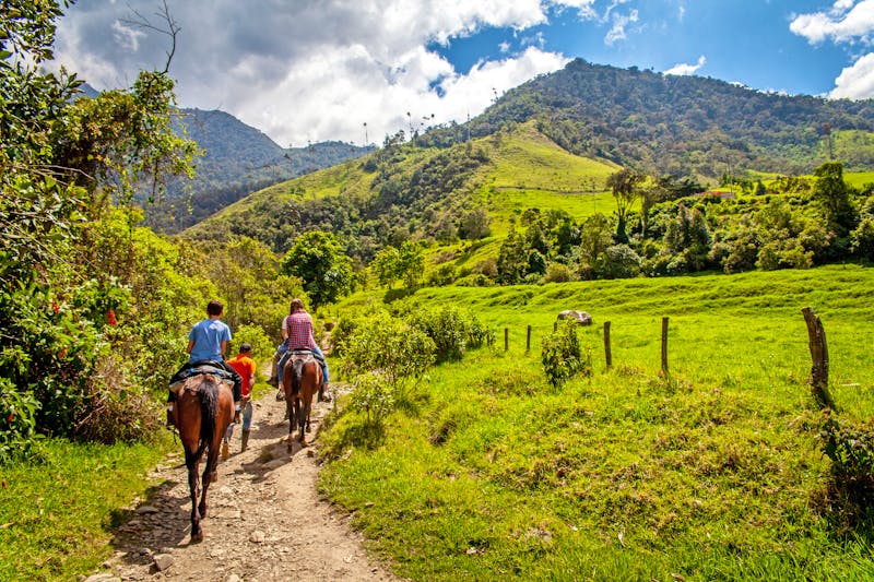 Ausritt im Cocora-Tal bei Salento  - ©Arthur Enselme (arthur.enselme@free.fr) - stock.adobe.com