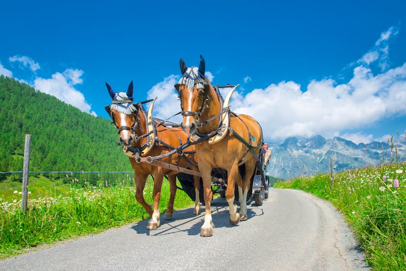 Pferdekutschfahrt in der Schweiz - ©michelangeloop - stock.adobe.com