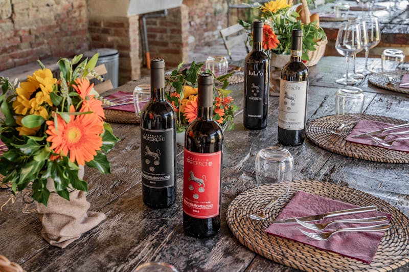 Kochkurs im Castello Tricerchi, Montalcino - ©MAGIDA Brunello Cooking Class