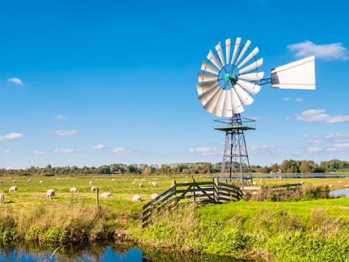 Weideland bei Earnewald in Friesland  &ndash; &copy; Jeannette Tas, Netherlands - stock.adobe.com