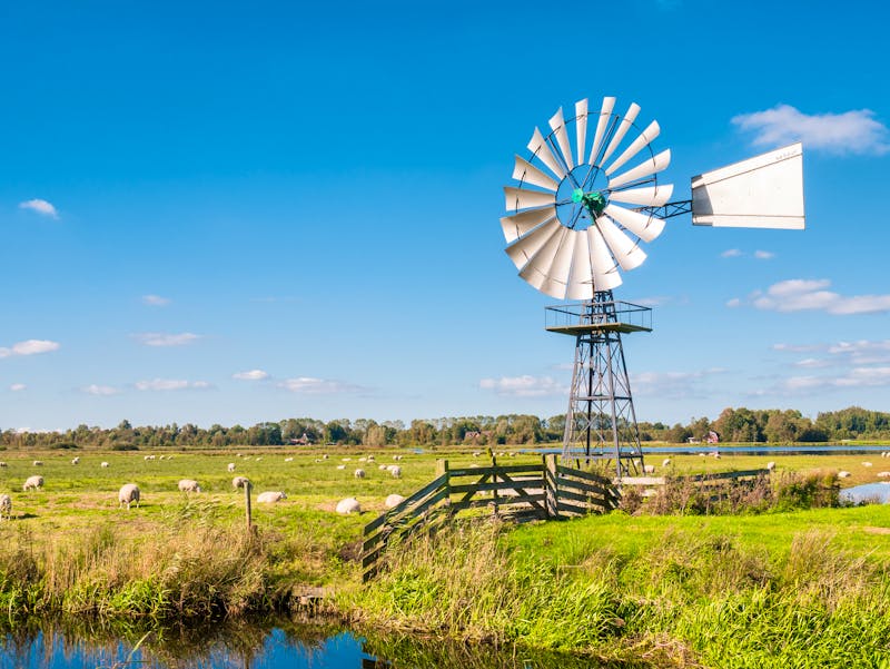 Weideland bei Earnewald in Friesland  - ©Jeannette Tas, Netherlands - stock.adobe.com