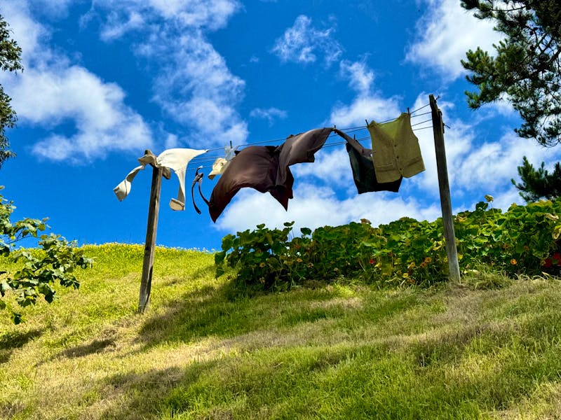  Ausflug nach Hobbiton – Bilbos Wäscheleine - ©Andreas Wolfsteller - Eberhardt TRAVEL