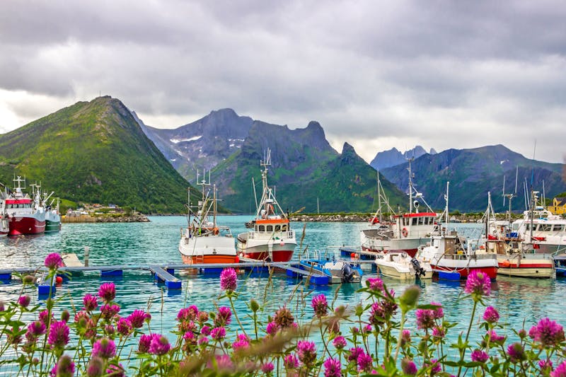 Fischerboote im Hafen der Insel Husøy bei Senja im Norden Norwegens - ©tmag - stock.adobe.com