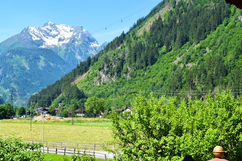 Hotel Garni Almhof in Mayrhofen  &ndash; &copy; Hotel Garni Almhof in Mayrhofen