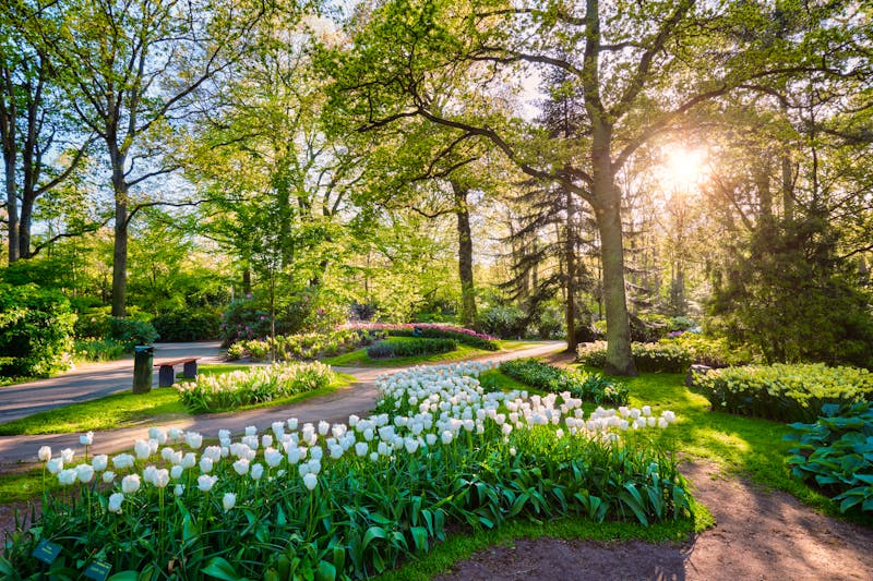 Tulpen im Keukenhof - &copy;Dmitry Rukhlenko - envato