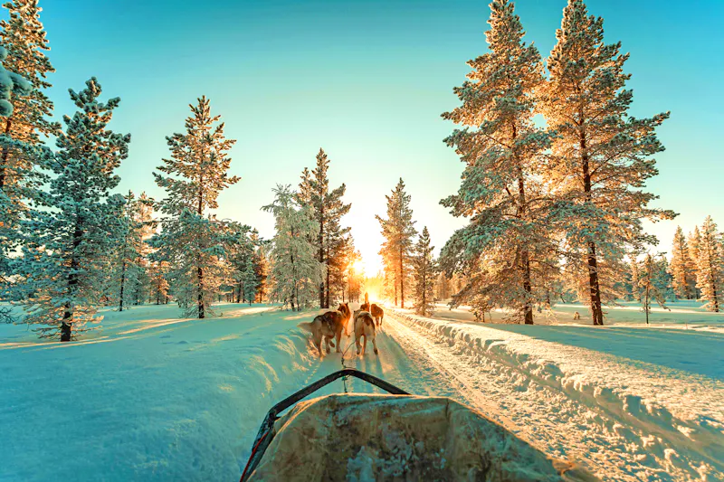 Husky Safari in Finnisch Lappland - &copy;Albert Casanovas/Wirestock Creat - stock.adobe.com