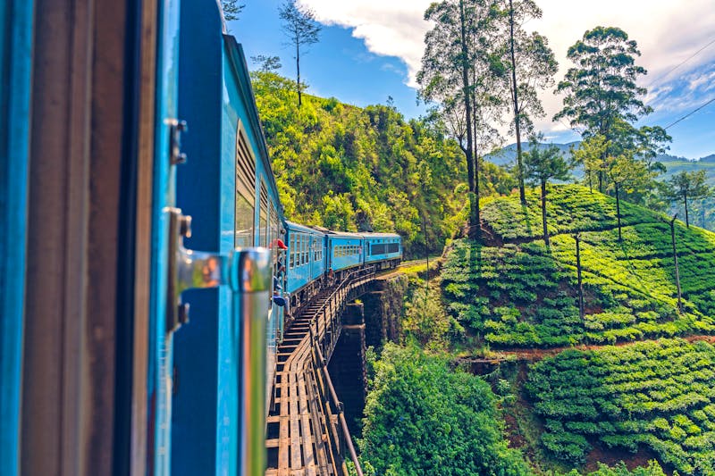 Zugfahrt durch die Teeplantagen im Hochland von Sri Lanka zwischen Kandy und Ella - ©NDStock - stock.adobe.com