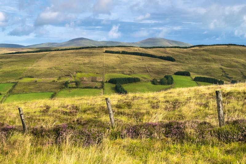 Sperrin Mountains in Nordirland - ©Nicholas - stock.adobe.com