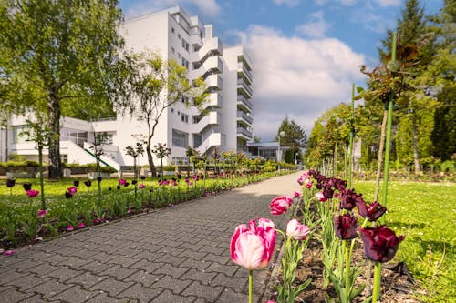 Hotel Park in Piestany &ndash; &copy; Hotel Park in Piestany