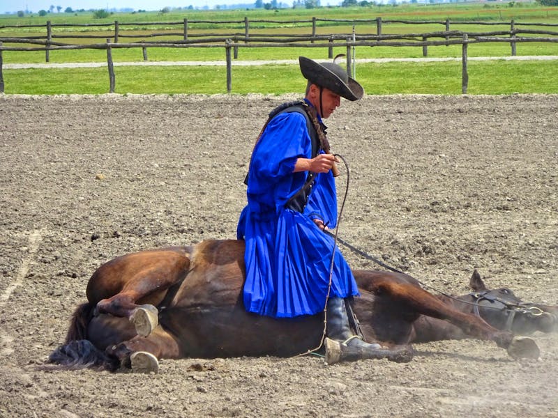 Reitershow in der Puszta - ©Inge Bily - Eberhardt TRAVEL