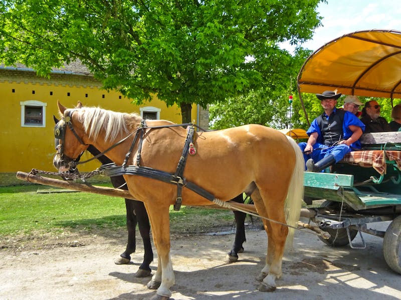 Ausflug in die Puszta bei Kecskemet - Kutschfahrt - ©Inge Bily - Eberhardt TRAVEL