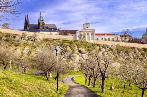Spazierweg am Petrin Hügel in Prag &ndash; &copy; Michaela Jílková - stock.adobe.com