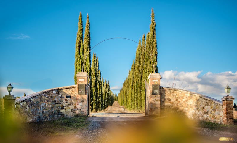 Montalcino Brunello Weingut - ©Friederike Hegner