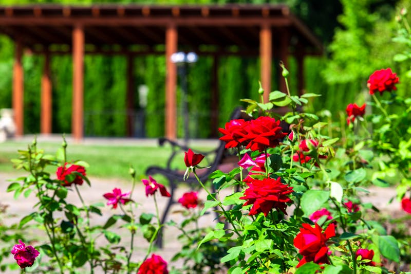 Mineral SPA Draugystė in Litauen - Park  – ©fotolukosevicius gmail com